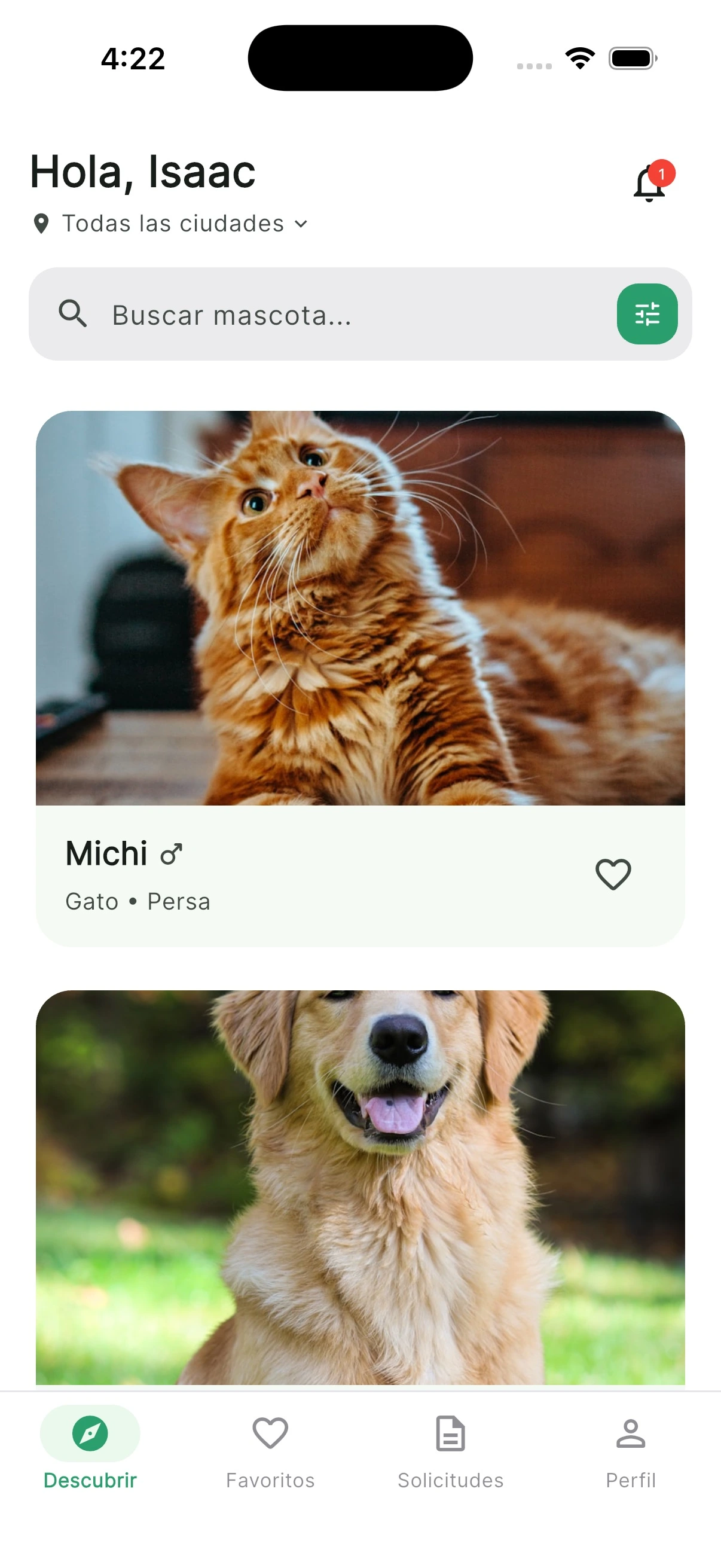 Perro rescatado buscando hogar en Colombia, en brazos de una joven